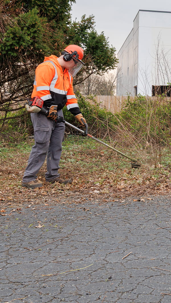 Professional right-of-way maintenance services in New Jersey Right-of-way maintenance and debris removal in New Jersey